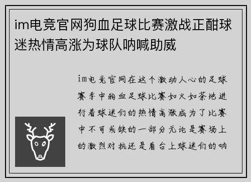 im电竞官网狗血足球比赛激战正酣球迷热情高涨为球队呐喊助威